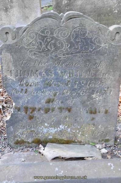 Spittle/While 1 - Thomas, Elizabeth