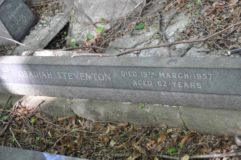 Steventon 1 - Odadiah