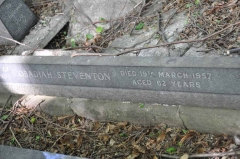 Steventon 1 - Odadiah