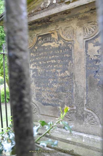 Tandy/Grainger 1 - Elizabeth Ward (nee Grainger)
