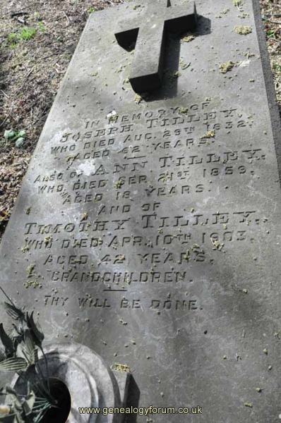 Tilley - Joseph, Ann, Timothy