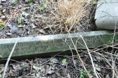 Walton - Elizabeth