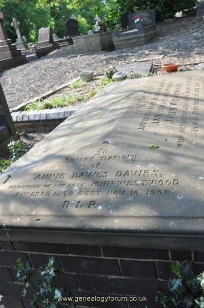 Westwood 1 - Annie Dawes Davies (nee Westwood)