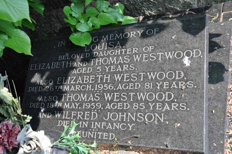 Westwood/Johnson