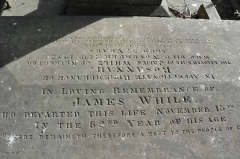 While 1 - James, Rosannah