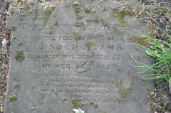 Wright - Ann Maria (wife of Enoch Adams)