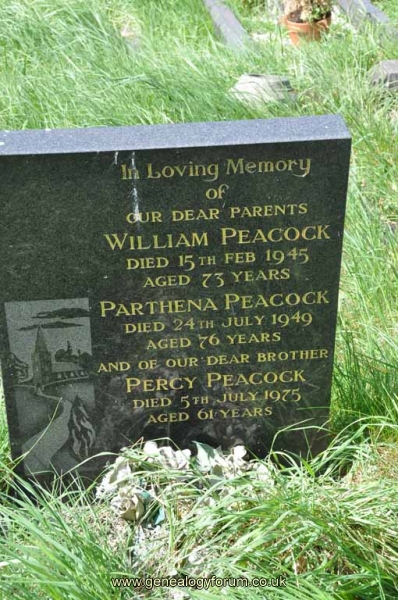 Peacock - William, Parthena, Percy