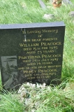 Peacock - William, Parthena, Percy
