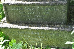 Pittaway - James, David, Sarah Ann