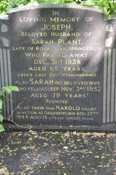 Plant 1 - Joseph, Sarah & son Harold (KIA)