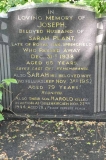 Plant 1 - Joseph, Sarah & son Harold (KIA)