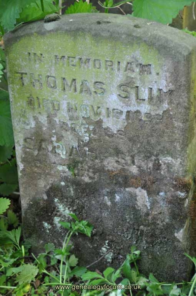 Slim - Thomas, Sarah