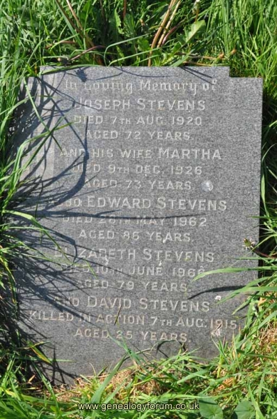 Stevens - family, David Stevens (KIA)