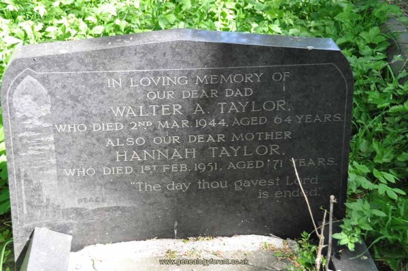 Taylor - Walter, Hannah