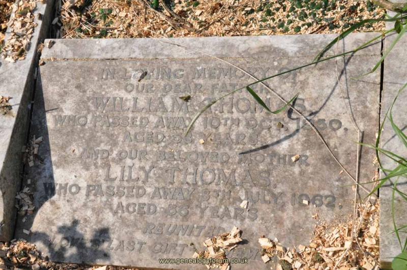 Thomas - William, Lily