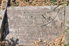 Thomas - William, Lily