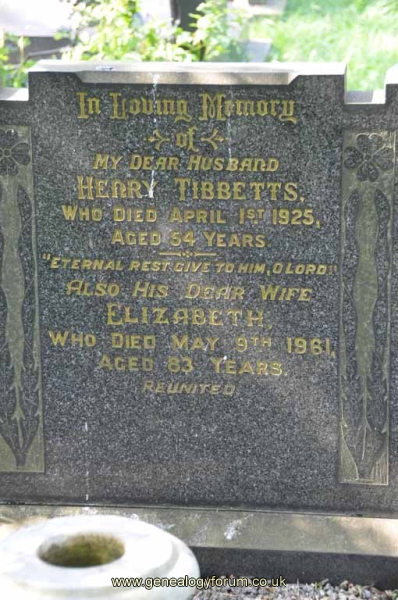 Tibbetts 1 - Henry, Elizabeth