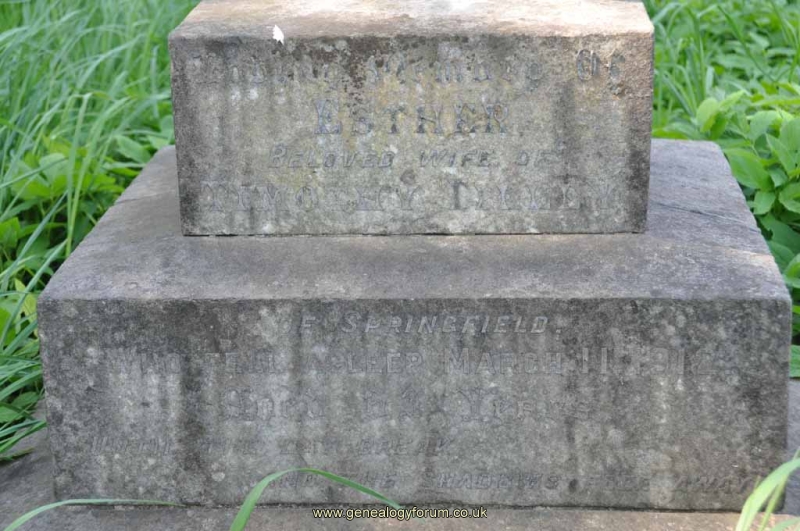 Tilley 1 - Esther