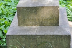 Tilley 1 - Timothy