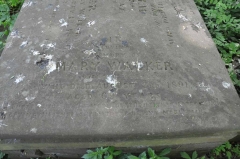 Walker 1 - Mary