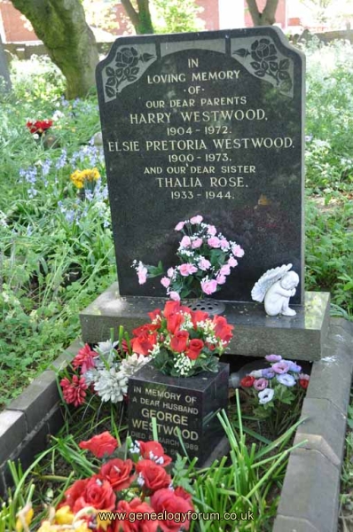 Westwood - Harry, Elsie, Thalia, George