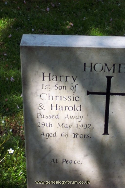 Harry Homer