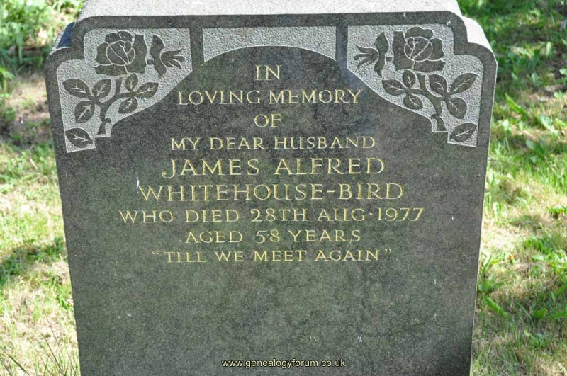 Whitehouse Bird - James