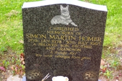Simon Martin Homer
