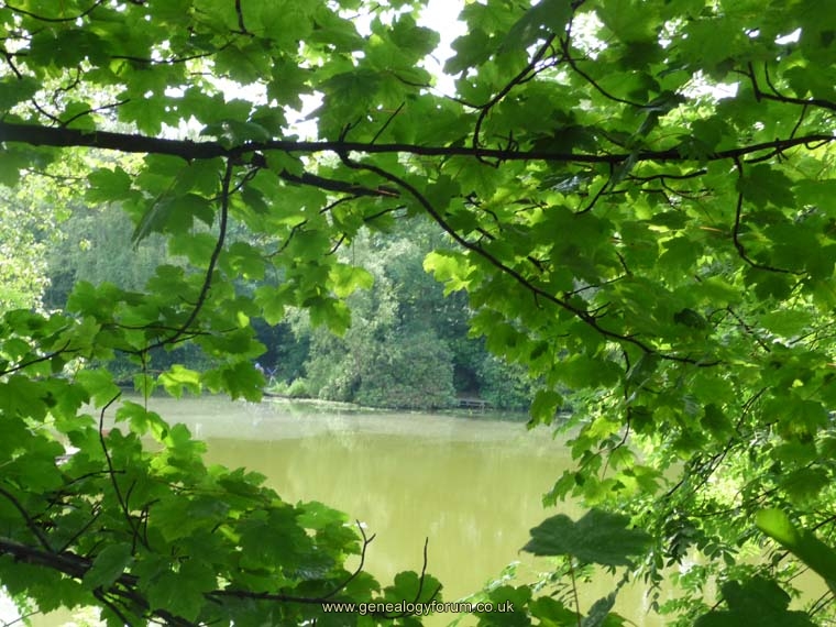 (6) Thimblemill Pool