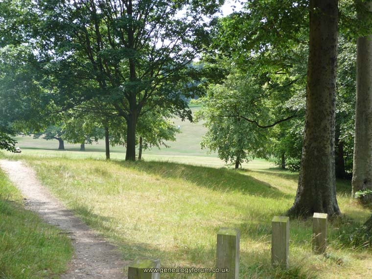 (10) The Path through Warley Woods