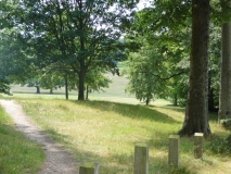 (10) The Path through Warley Woods