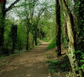 007h - Old Hill, Haden Hill Park (2010)