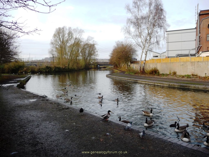 Langley - Titford Canal
