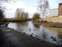 Langley - Titford Canal
