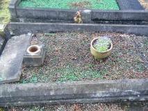 Edgar and Edith Haynes (nee Worton)