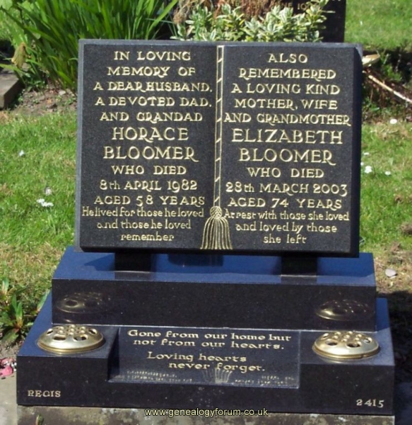 Horace & Elizabeth Bloomer