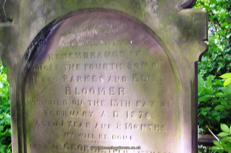Son of Isaac Parkes and Eliza Bloomer - Lucas