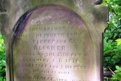 Son of Isaac Parkes and Eliza Bloomer - Lucas