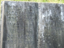 William T Rollason & wife Emmie J (Unknown) of Blackheath