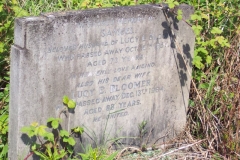 Samuel & Lucy Bloomer