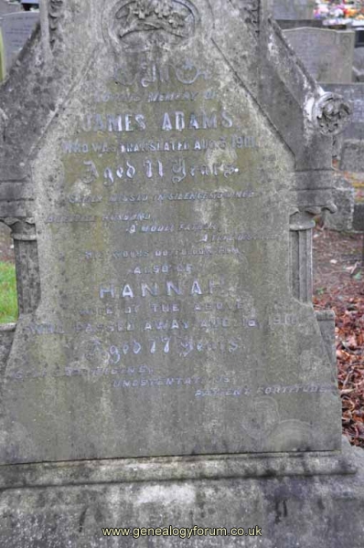 Adams - James, Hannah