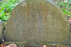 Atkins - Charles, Laura