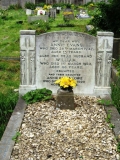 William & Annie Evans (nee Harris) - both born 1873