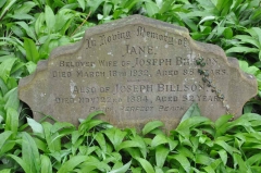 Billson - Joseph