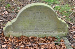 Bingham - Cathie, Fred  (children of Samuel & Jane)