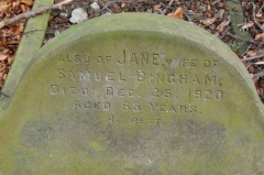 Bingham - Jane (wife of Samuel)