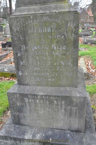 Bird 1 - Benjamin, Hannah