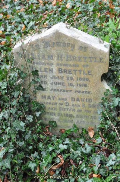 Brettle - William, Ellen & his brother & sister