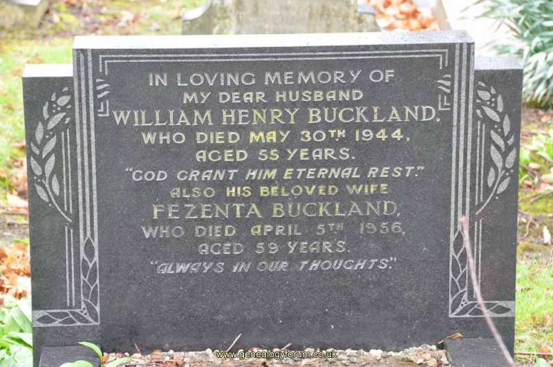 Buckland - William, Fezenta