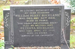 Buckland - William, Fezenta